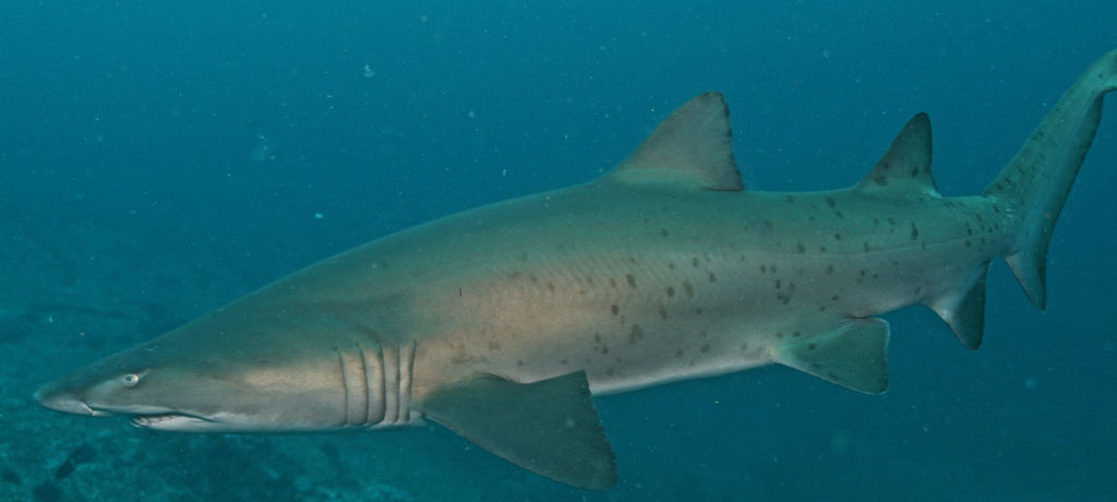 868f450a-e7d0-43d0-bf69-88caa0a73212