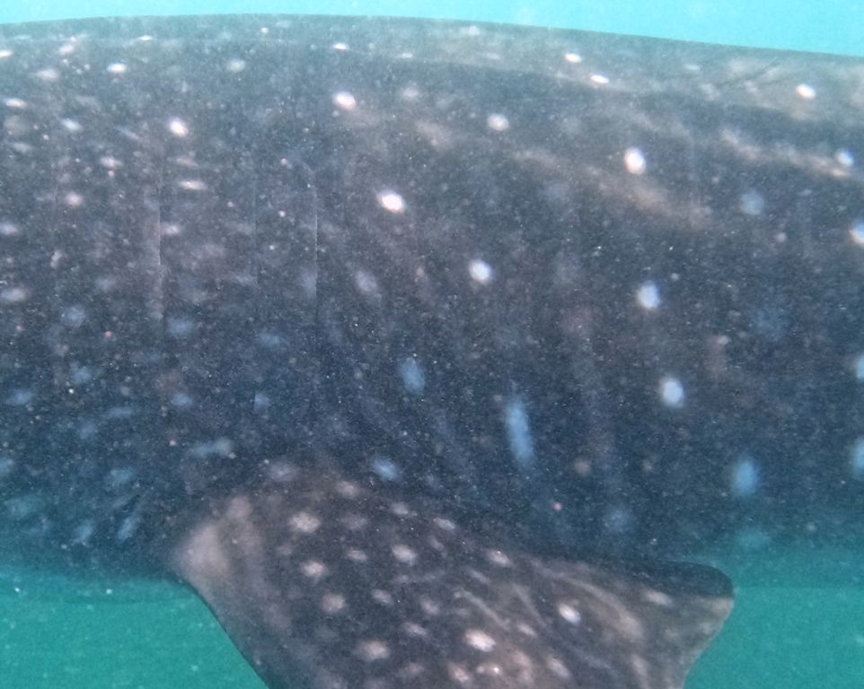 db50269e-1cb2-4c77-aedf-6f715ac376f9