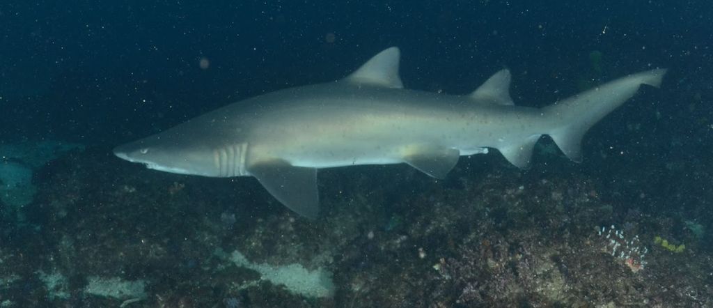 184b3a22-3538-45a3-8b50-303db5d2103a