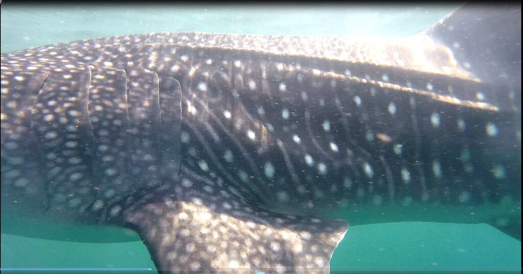 59b9bf22-39d3-4010-b078-45b2bb3ad216