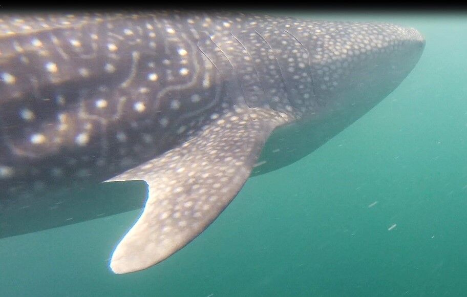 59b9bf22-39d3-4010-b078-45b2bb3ad216