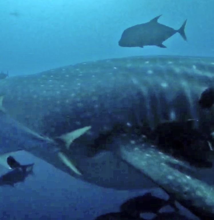 7e212cae-37e4-43be-9957-8528f90846d1