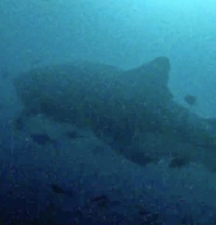 7e212cae-37e4-43be-9957-8528f90846d1