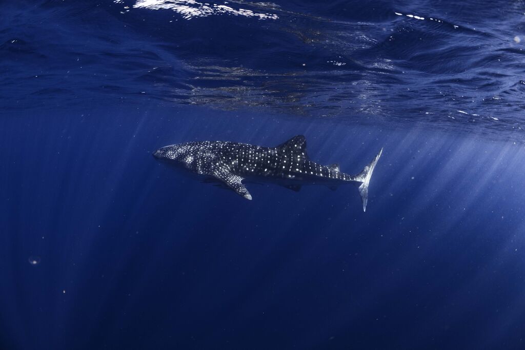 904b8bce-5c7d-42d8-8473-a97f601c1cbd