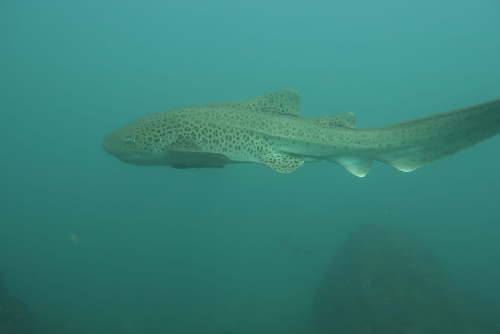 0d820d57-b88f-417d-851f-89fdb598a30c