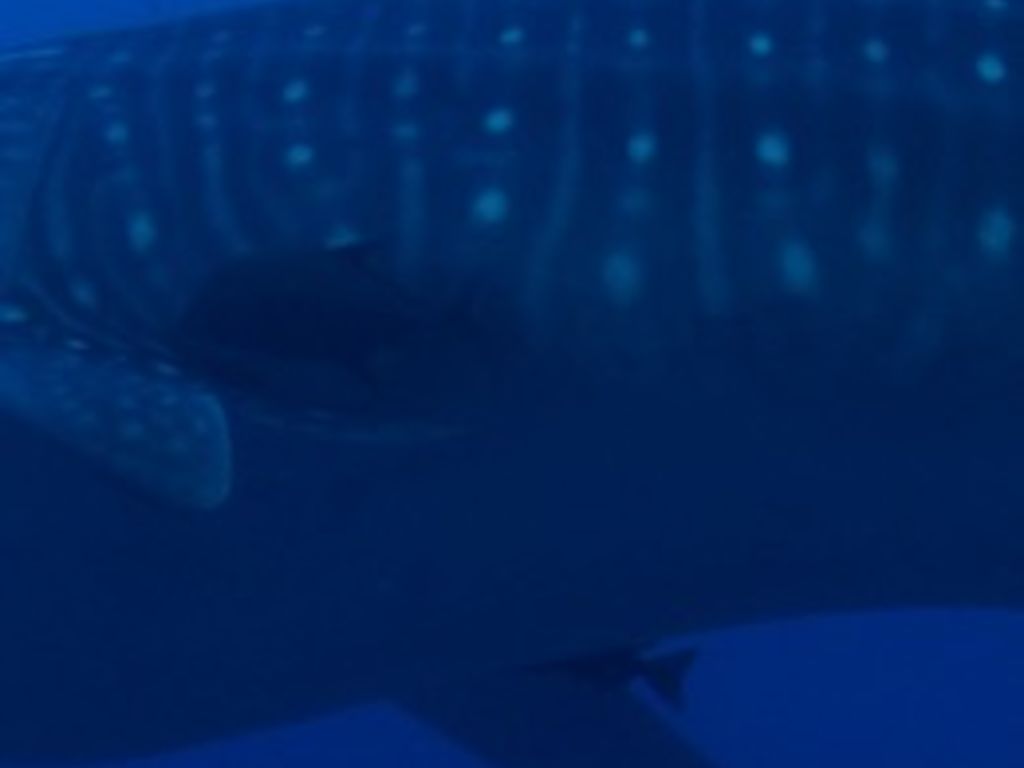 07c48f7e-33c7-4915-8220-c3e1db2679c4