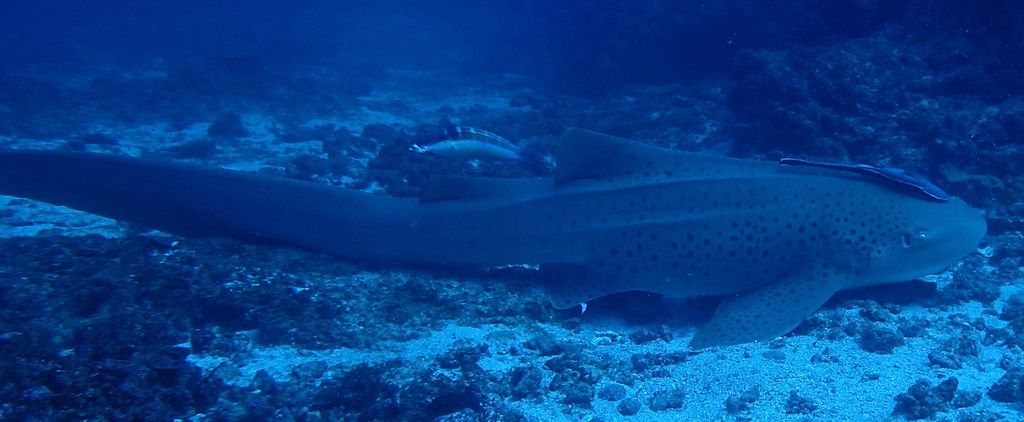 3a5ded30-b649-4d42-97a0-1bafef8bb9a1