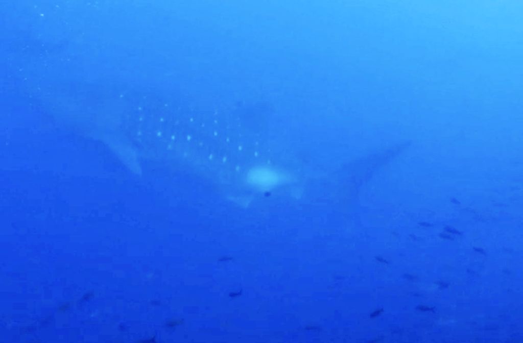 1a54a44c-7fda-4e72-ac59-d640d88b1434