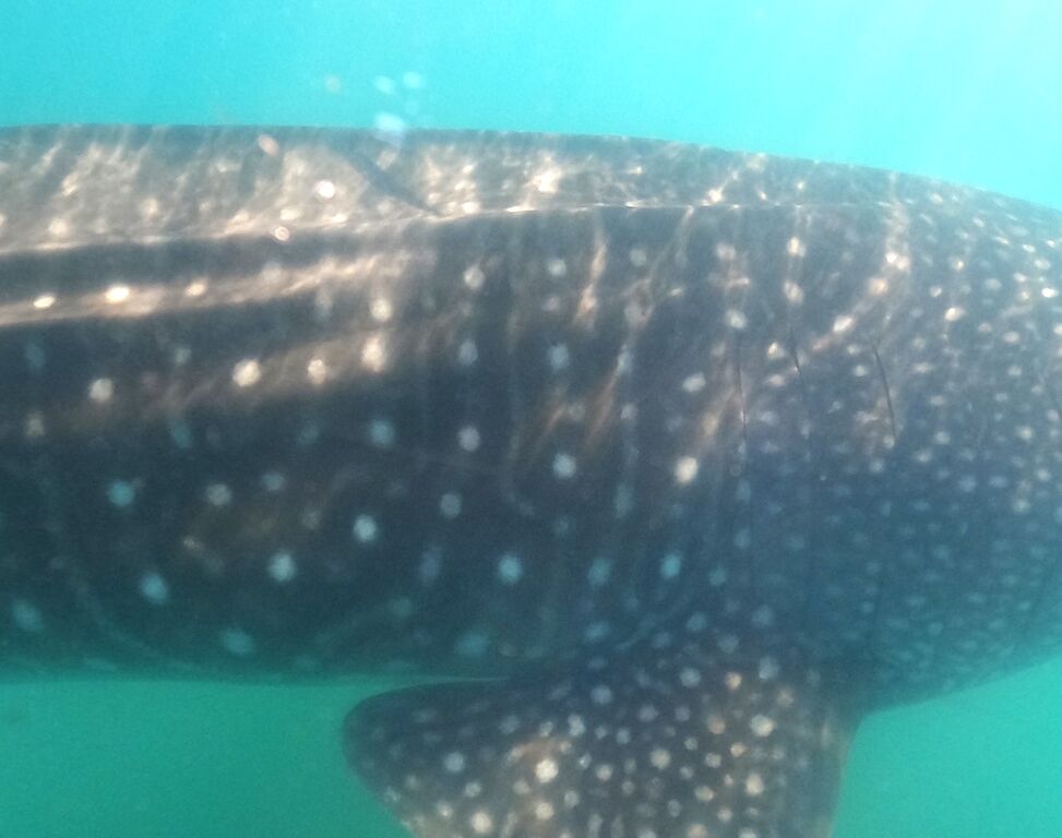 d2fc437e-423e-4fea-b7ef-5e7659a7ad6f