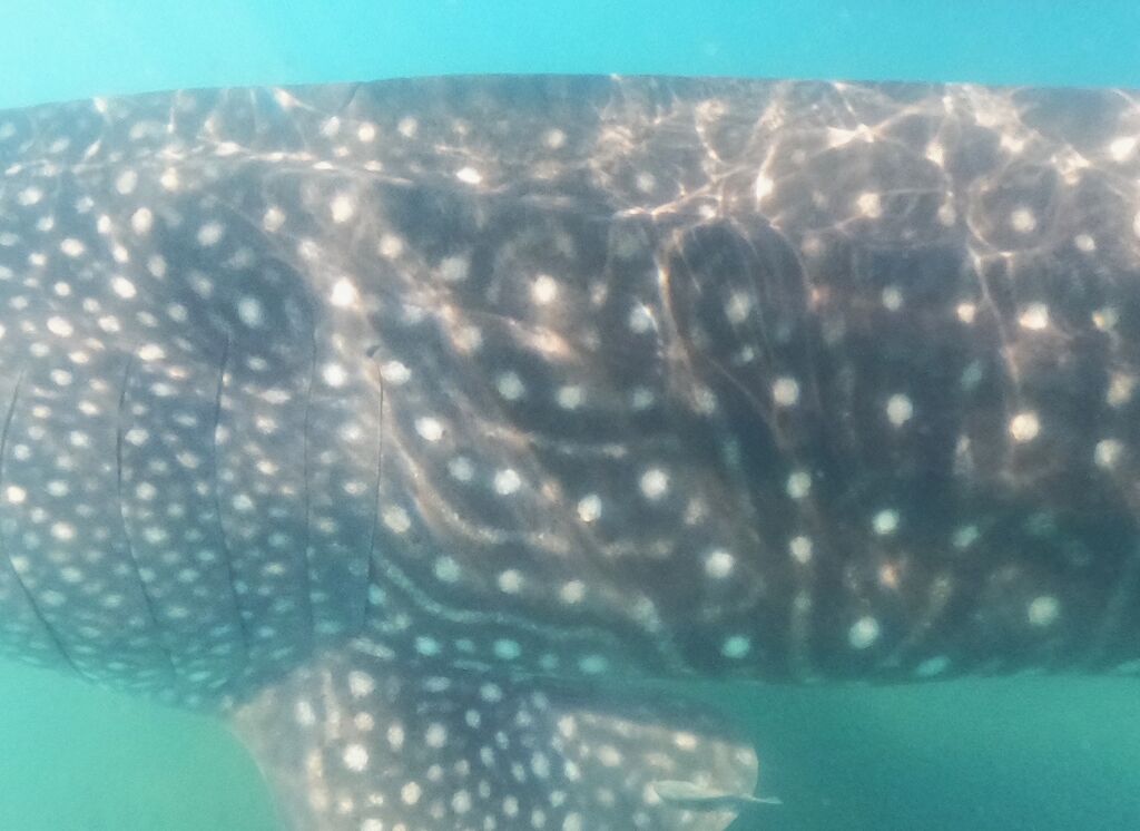 d2fc437e-423e-4fea-b7ef-5e7659a7ad6f