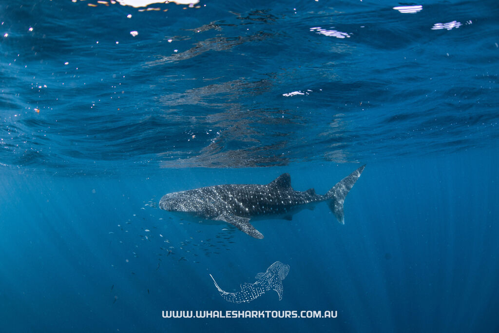 c0373ced-90d2-49f8-9679-57a3bf08c2eb