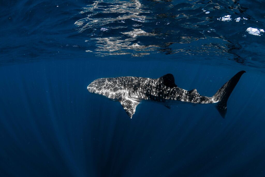 a571a9d8-c073-464d-b67f-0d1ba64d2cd6