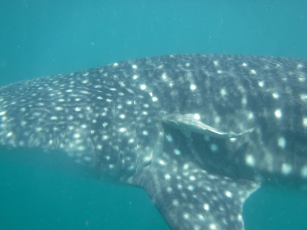 6f0a7f50-f37d-4135-b10e-d4dbaecc0f43