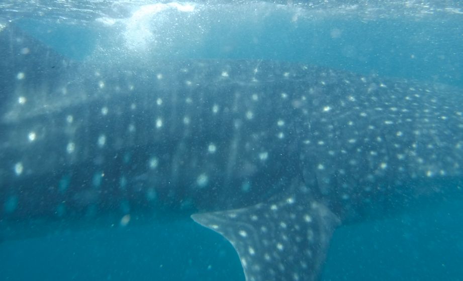 6f0a7f50-f37d-4135-b10e-d4dbaecc0f43