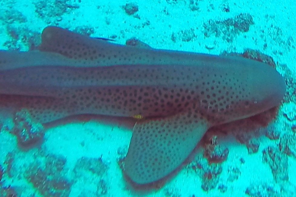 e87d4d0c-c1e6-4a02-9447-b10a9a24c808