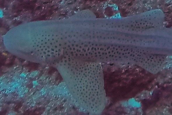 e87d4d0c-c1e6-4a02-9447-b10a9a24c808