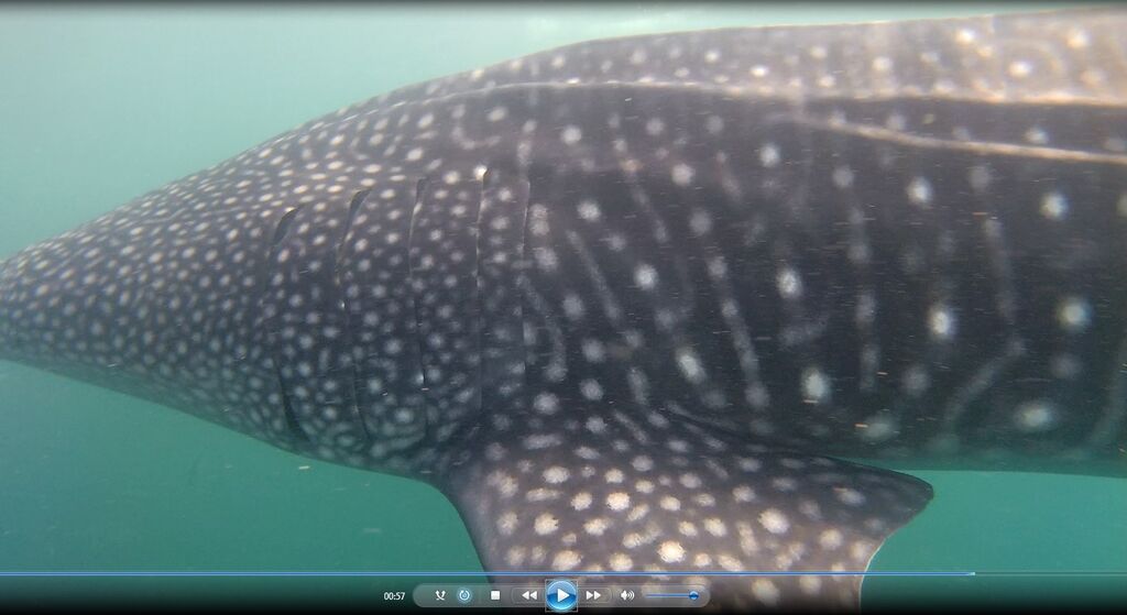 fa9365a6-3ba3-4568-aeae-5c87919e063d