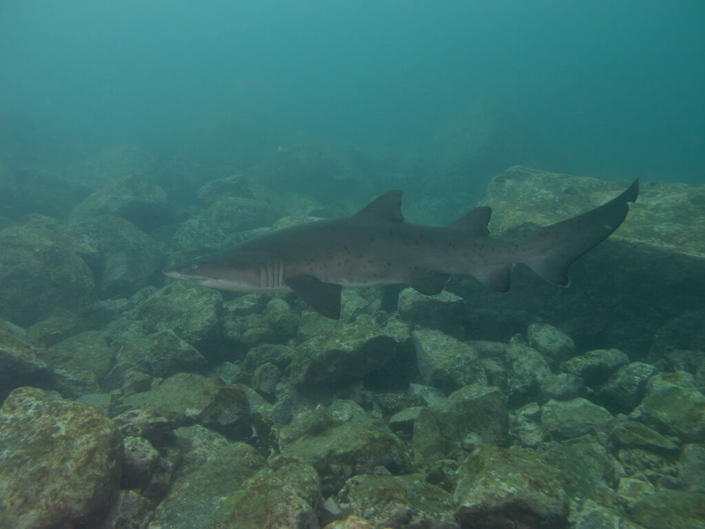 319b7026-8634-4443-889e-b721caa9c486