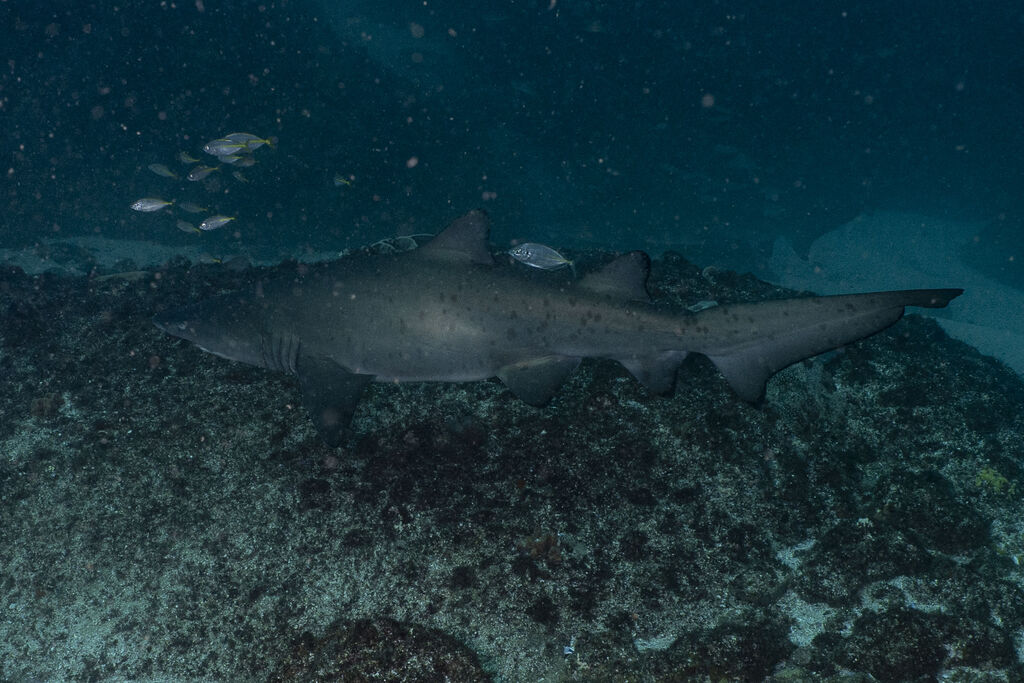 59d9c16f-8642-44ac-bcca-0904622367ed