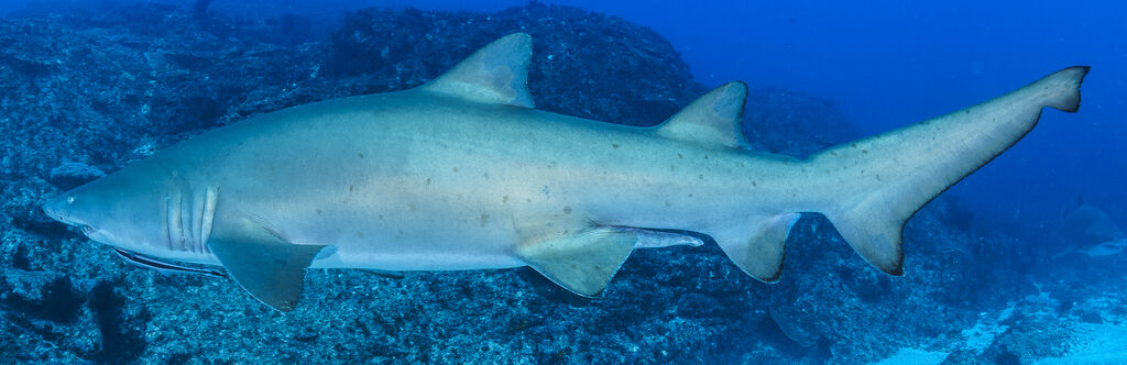 e6cdae39-38bd-4df7-adfb-cd1d679336cd