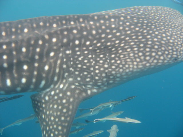 7c664fdb-ca5f-49a3-9071-5c4d48716231