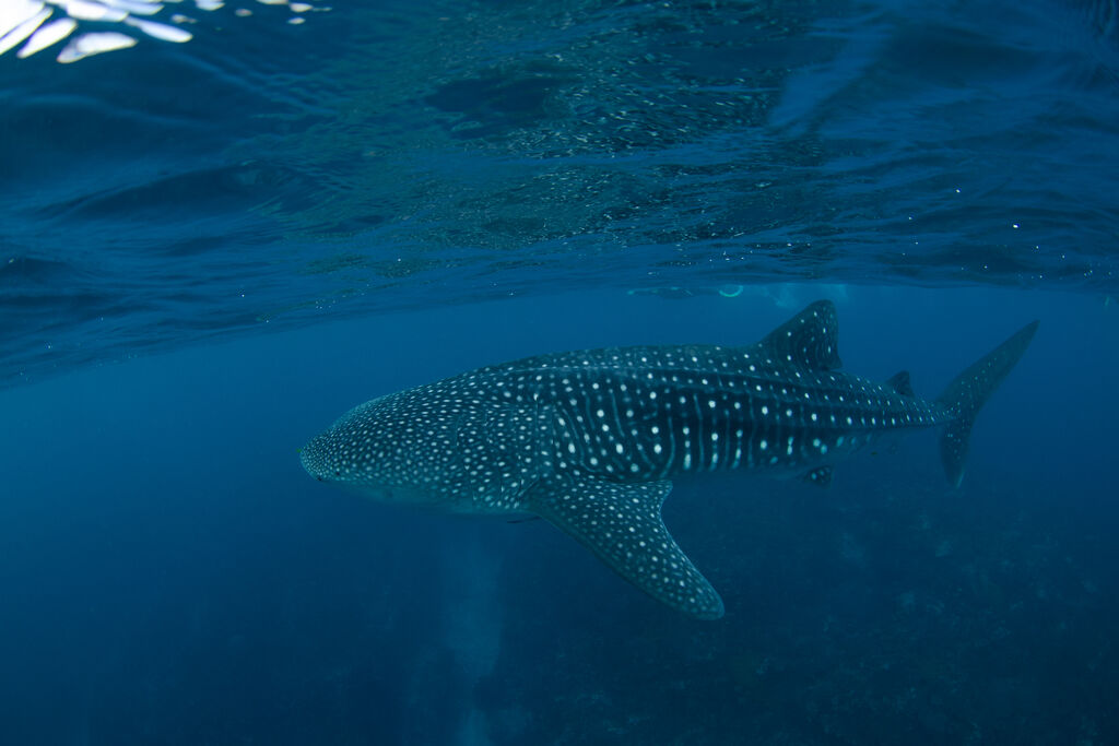 a9dc6512-c835-41b3-9cbe-6925e6e1d49a