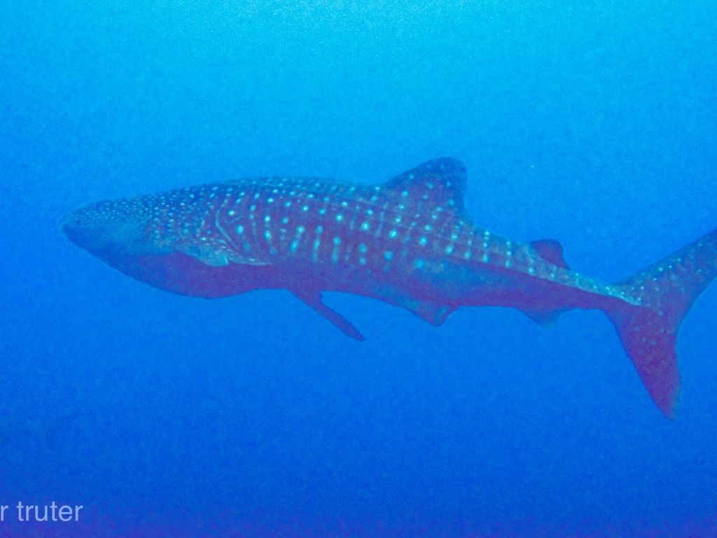 5c36e642-bef0-42d8-98f0-06e36984ac8e