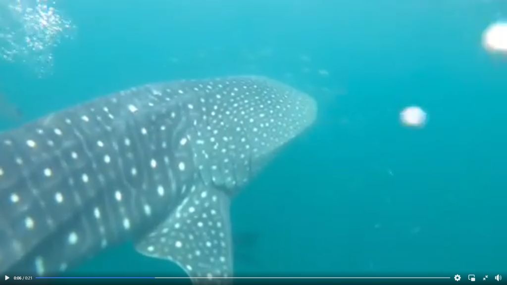 7bb2baa4-264c-41e8-8591-d076a2fde463