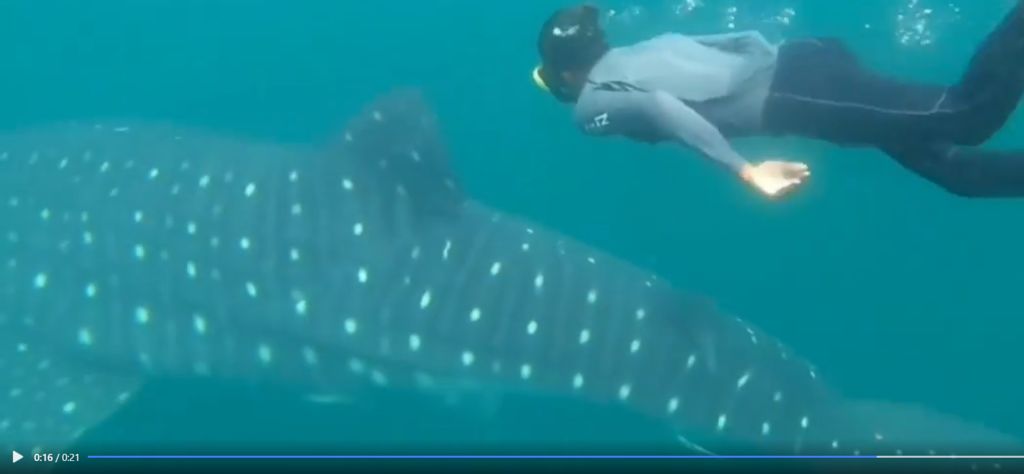 7bb2baa4-264c-41e8-8591-d076a2fde463