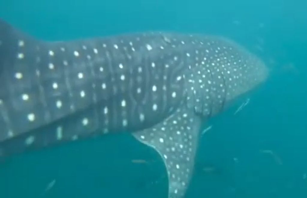 7bb2baa4-264c-41e8-8591-d076a2fde463