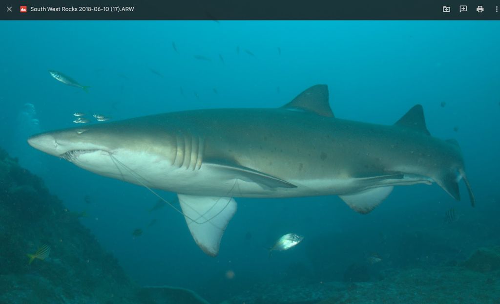 d8b7e2d1-3e5b-4905-8e48-0cbbb9e02a9e