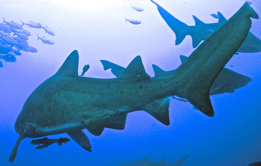 f630361e-526d-4098-8608-306a5a7a9d54