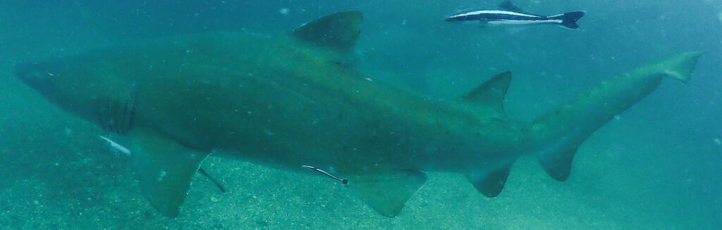 56fdf24e-4e09-49c5-bd3a-12b4ce67aa5d