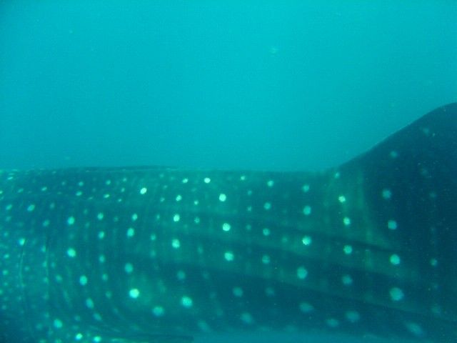 2237ae80-d191-4073-97c0-6ff50059f3a3