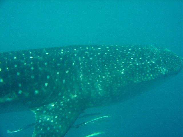 2237ae80-d191-4073-97c0-6ff50059f3a3