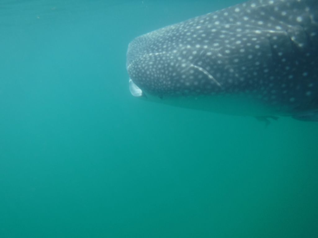 86d4d4c8-e338-4a5f-bd12-770c0e5c12a7