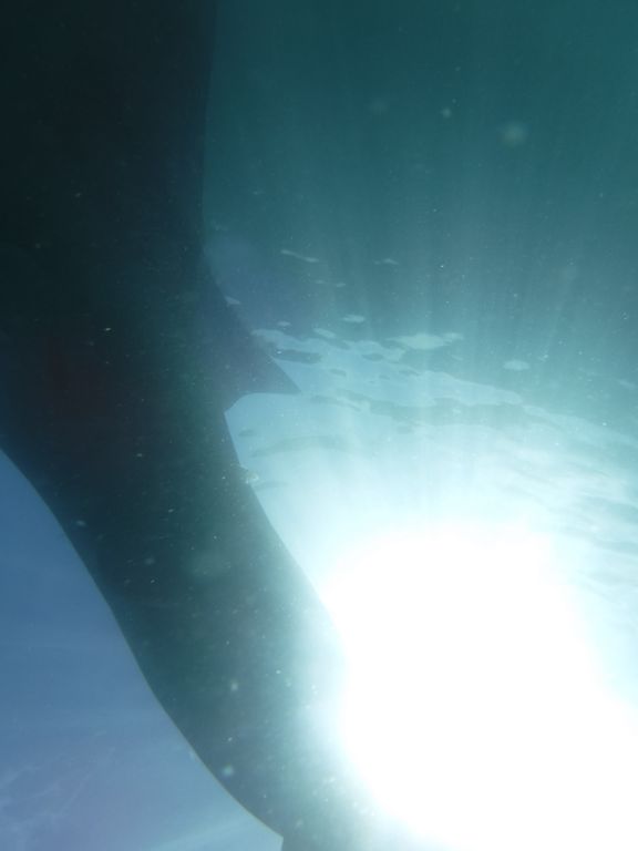 86d4d4c8-e338-4a5f-bd12-770c0e5c12a7