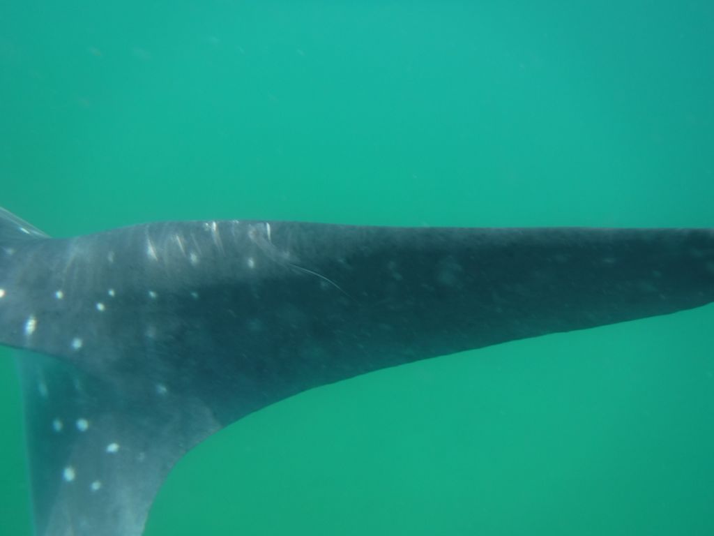 86d4d4c8-e338-4a5f-bd12-770c0e5c12a7