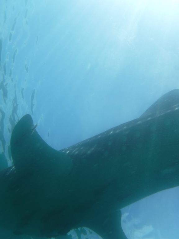 86d4d4c8-e338-4a5f-bd12-770c0e5c12a7