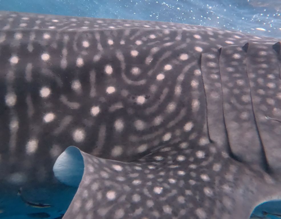 2f6af2be-0d8b-4b92-9ffc-b220eefd5e51