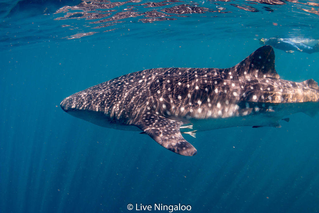 4d3ae903-a07e-4a00-87d7-4280dad7f430