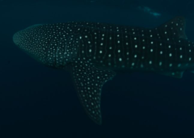 06f3d750-9243-4c33-85d6-e7a390c9c5c2