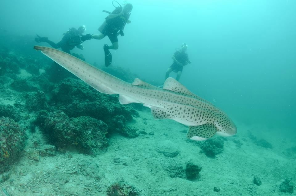 530b8736-ba01-409f-9818-23d3cb2287c1