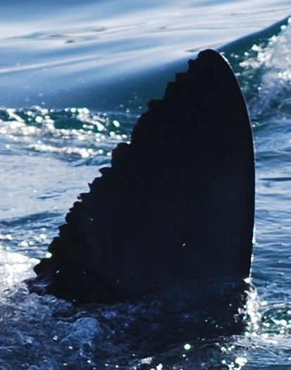 587a11dd-2788-4796-b1c1-dc92a207d571