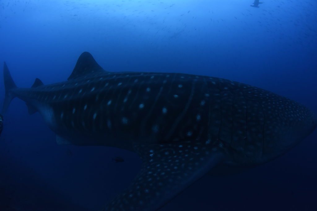 d1b6425d-d5ce-45ea-9157-b3809f141d52