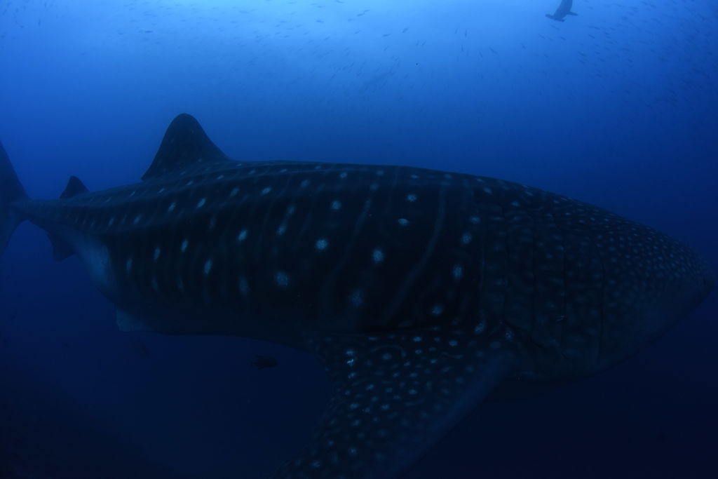 d1b6425d-d5ce-45ea-9157-b3809f141d52