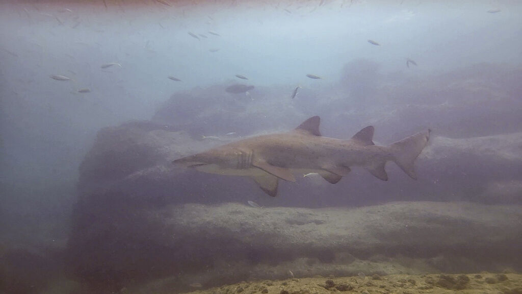 331ea0ad-4680-4daf-9a36-469f39e81e03