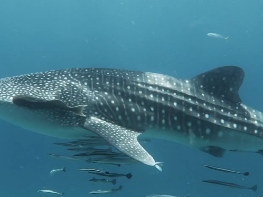 b6ca8b0c-3601-47bb-8761-c642f46c5c2d