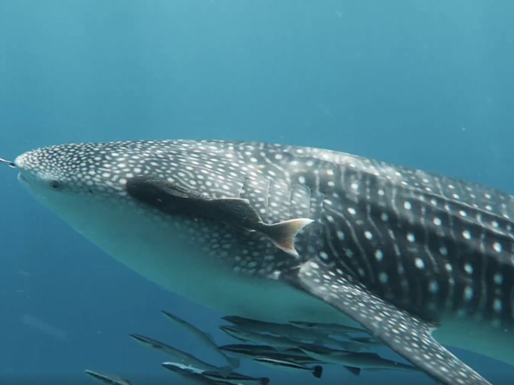 b6ca8b0c-3601-47bb-8761-c642f46c5c2d