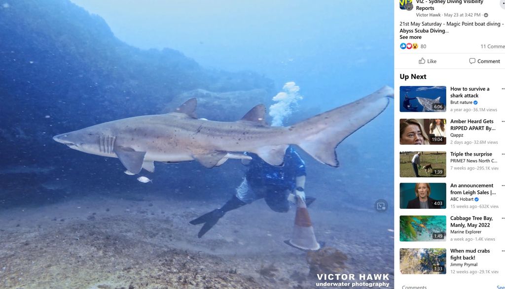 ea87c958-bf19-4fb6-85a0-f4fc19f79c6f